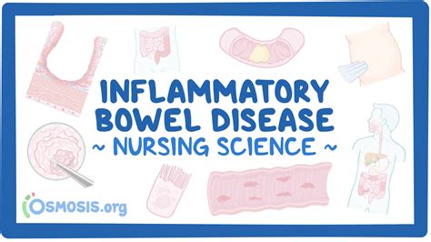 Inflammatory Bowel Disease Crohn Disease And Ulcerative Colitis Nursing Osmosis Video Library