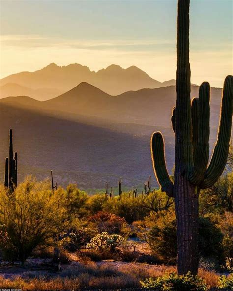 Sunrise Over Arizona Desert Visit Arizona Natural Landmarks Cactus