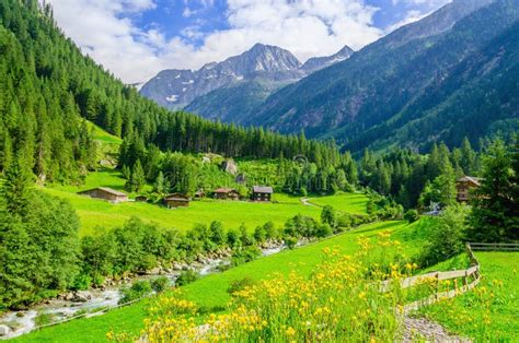 Green Meadows Alpine Cottages In Alps Austria Stock Photo Image Of