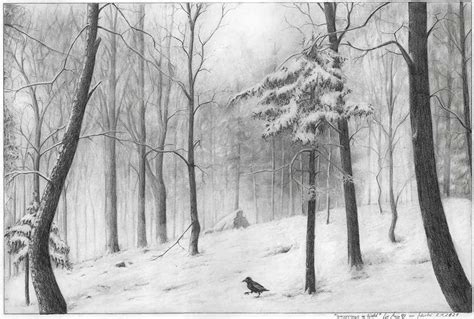 Drawing Winter Landscape Forest