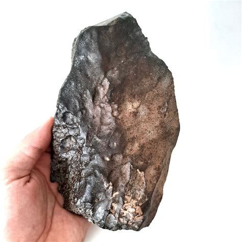 Nwa 1495 Meteorite L4 5 Chondrite Endcut Meteolovers