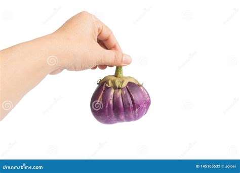 Eggplant Fruit In Hand Stock Photo Image Of White Natural 145165532