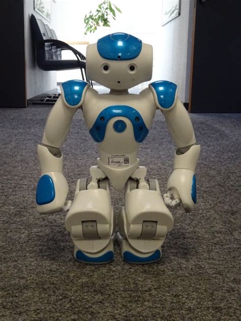 The Companion Robot Nao Robotlearn