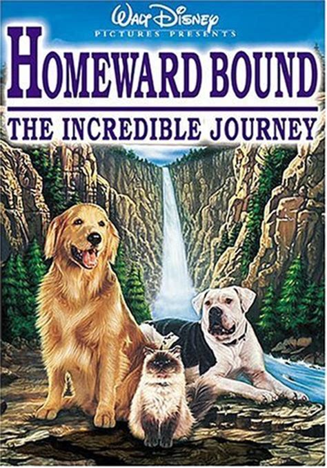 The movie is peppered with humor. HOMEWARD BOUND: THE INCREDIBLE JOURNEY | Movieguide ...