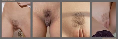 Trimmed Female Pubic Hair Pussy
