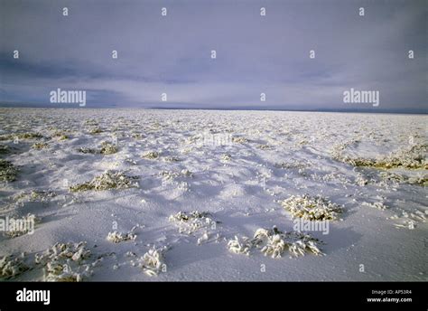 North America Usa Alaska North Slope Snow Covered Tundra Stretches