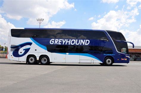 Greyhound Introduces Their Business Class Feature On The Spectacular