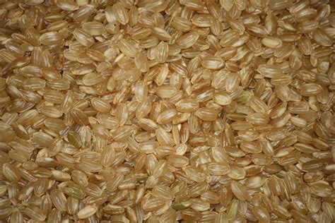Short Grain Brown Rice Texture Picture Free Photograph Photos