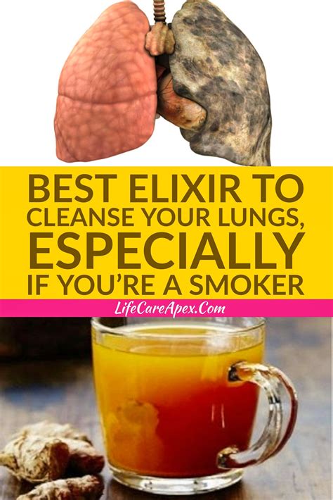 Best Elixir To Cleanse Your Lungs Especially If You Re A Smoker Lunges Lung Cleanse Cleanse
