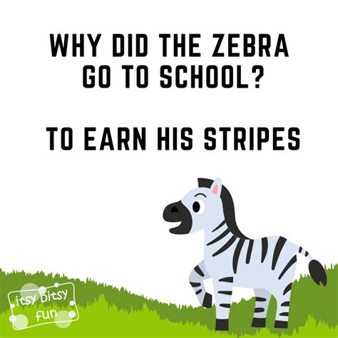25 Zebra Puns And Jokes For Kids Itsy Bitsy Fun