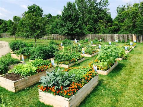 Community Garden City Of Powell Powell Ohio