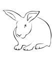 Find the perfect traceable stock illustrations from getty images. Tracing of a white rabbit Royalty Free Vector Image