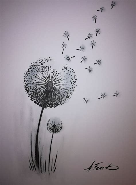Dandelion Drawing By Apenev Dandelion Drawing Flower Drawing