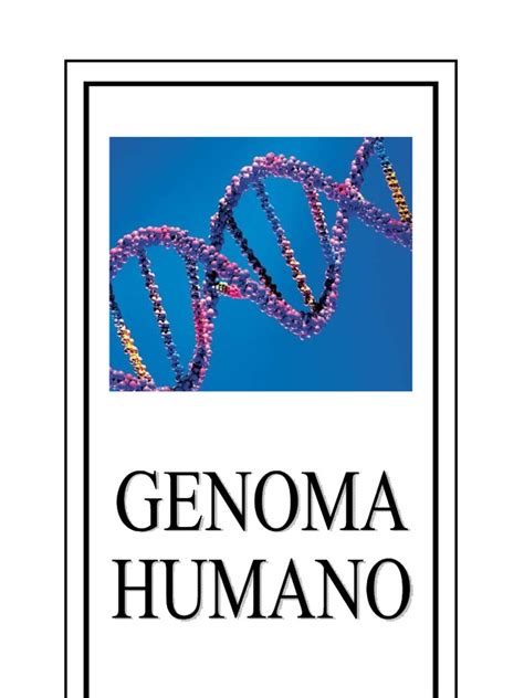 genoma humano pdf genoma humano gene
