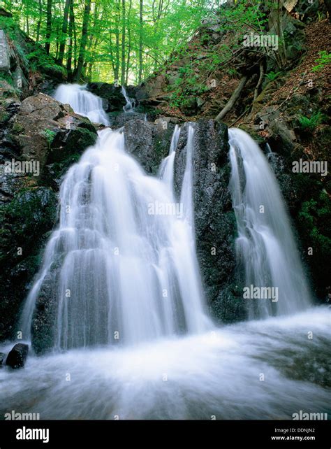 Waterfall In Forsakar Skane Sweden Stock Photo Alamy