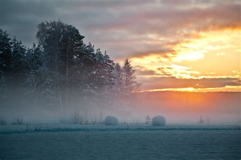 North Sweden Winter Wallpaper Nature And Landscape