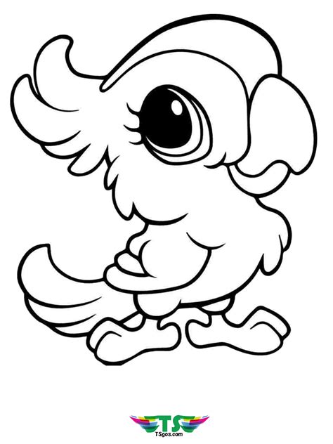 Printable Bird Coloring Pages