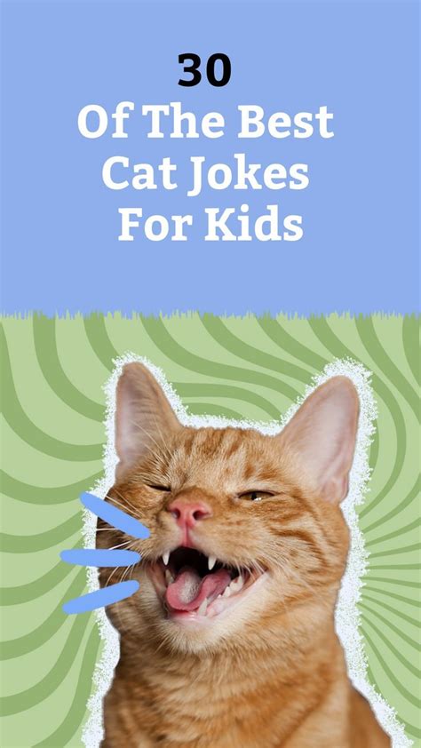 30 Of The Best Cat Jokes For Kids Jokes For Kids Funny Jokes For