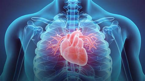 Zapalenie Mięśnia Sercowego Przyczyny Objawy I Leczenie Zdrowie