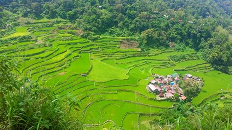 Bangaan Rice Terraces A Unesco World Heritage Site In Ifugao Jon To The World Blog