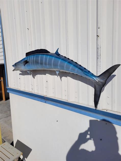 54 Wahoo And 36 Bull Dolphin Full Mount Fish Replicas Customer Proofs