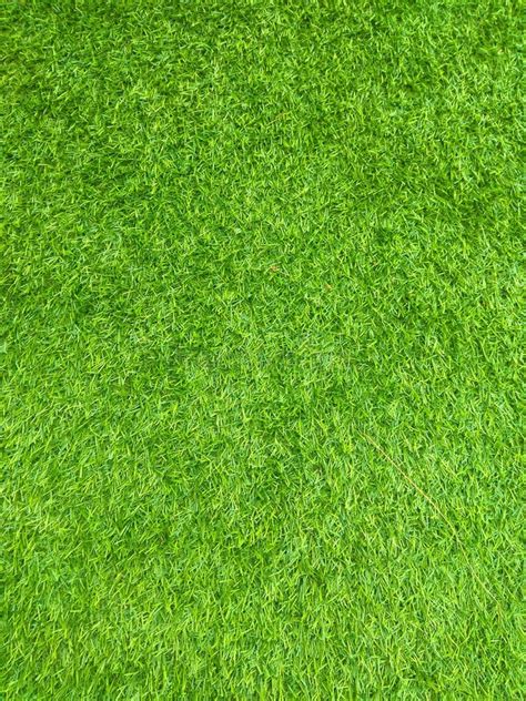 Green Grass Floor Texture Stock Image Image Of Floor 138868661