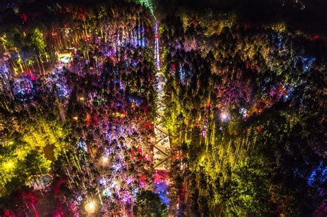Electric Forest 2018 Brought Us Together For 8 Days Of Music Love