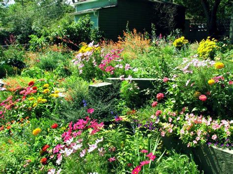 21 Native Wildflower Garden Ideas You Cannot Miss Sharonsable