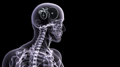 Wallpaper Illustration Skeleton Head X Rays Biology Sense