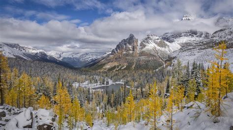 Early Snow In The Yoho National Park Wallpaper Backiee