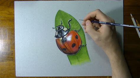 Even though it looks advanced, it's really not. How I draw a ladybug - realistic drawing - YouTube