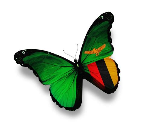 The flag of zambia is the national flag of zambia.it was adopted upon independence on 24 october 1964, by the first republican president dr. Butterfly Flag - Zambia Department of Immigration