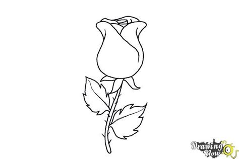 Add details to a rose. How to Draw a Rose Easy | DrawingNow