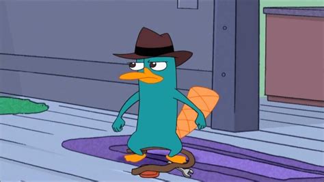 10 Latest Pictures Of Perry The Platypus Full Hd 1080p For Pc