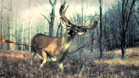 Animated Deer Shot With Lumenok Arrow Youtube