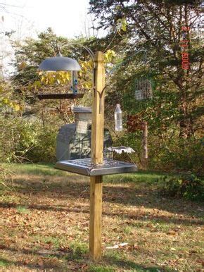 Assembling and installing a bird feeder pole shouldn't be complicated or take more than an hour. Idea for homemade squirrel baffle (With images) | Homemade ...