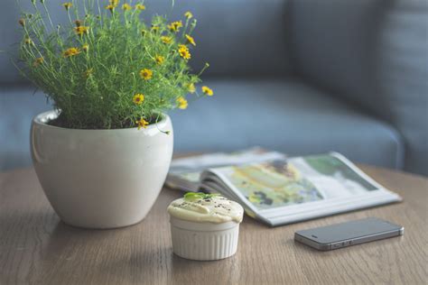 Diy 10 Easy Flower Arrangements For Your Office Desk Blog