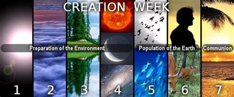 Dig Deeper Sanctuary Series 7 Days Of Creation Days Of Creation 7