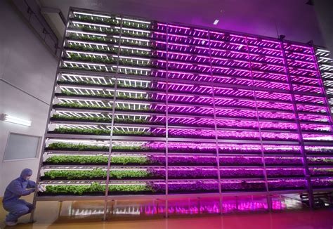 Tundra To Table Vertical Farming In The Arctic Promoting Urban