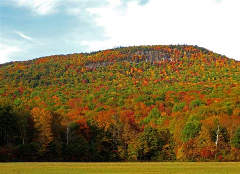 Maine Fall Foliage Map