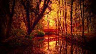 Fantastic Autumn Colors On Bridge Over A Forest Creek