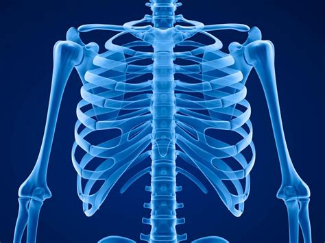 Rib cage pain on the left side or right side of your chest is a common symptom experienced by many people. Slipping rib syndrome: Causes, treatment, and diagnosis