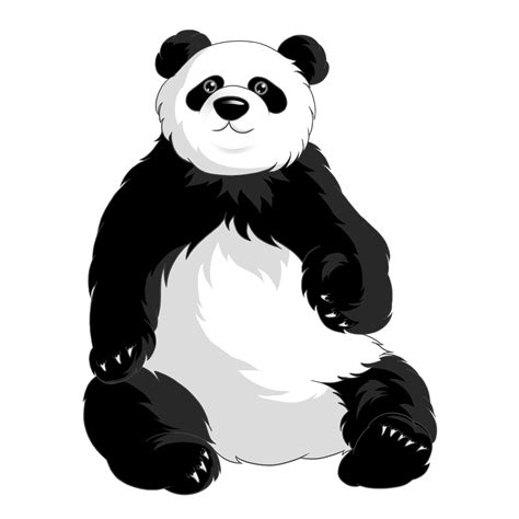 Giant Pandas Download Free Png Png Play