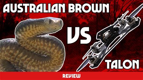 Huge Australian Deadly Snake Vs Racing Drone Karearea Talon Pr Review