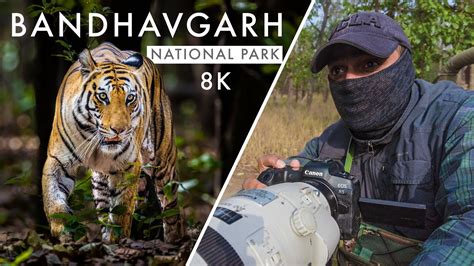 Wildlife Photography In Bandhavgarh National Park TIGER COUNTRY Ep 4