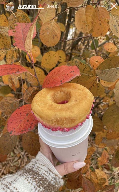 Capturing The Aesthetics Of The Fall Season Strawberry Icing Donut