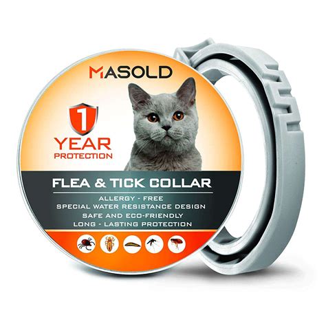 Flea And Tick Collar For Cats Amazon Cat Meme Stock Pictures And Photos