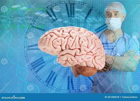 Doctor Scientist Is Studying The Human Brain The Concept Of Medical