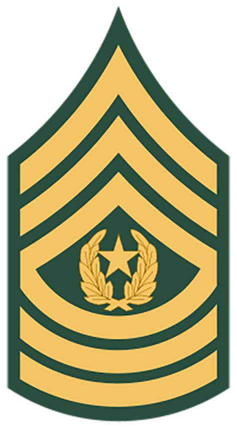 Ranks And Insignia Of The Us Army Military Ranks Army Ranks Army Momcute
