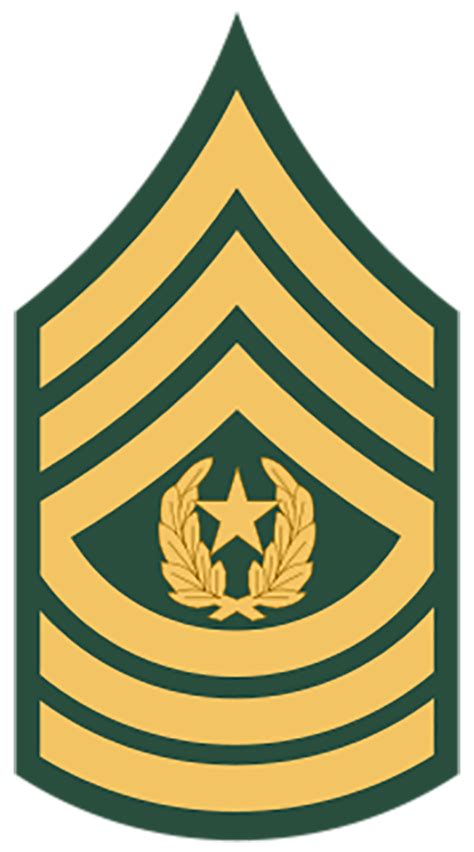 This can make it confusing for new recruits. U.S. Military Rank Insignia